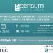 JORNADA 5 ANOS SENSUM PSICOLOGIA (on-line)